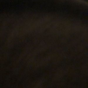 Meet your Posher, Gloria